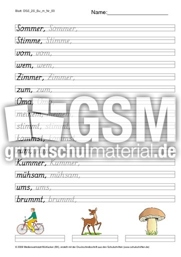 DSS_2S_Bu_m_Nr_03.pdf